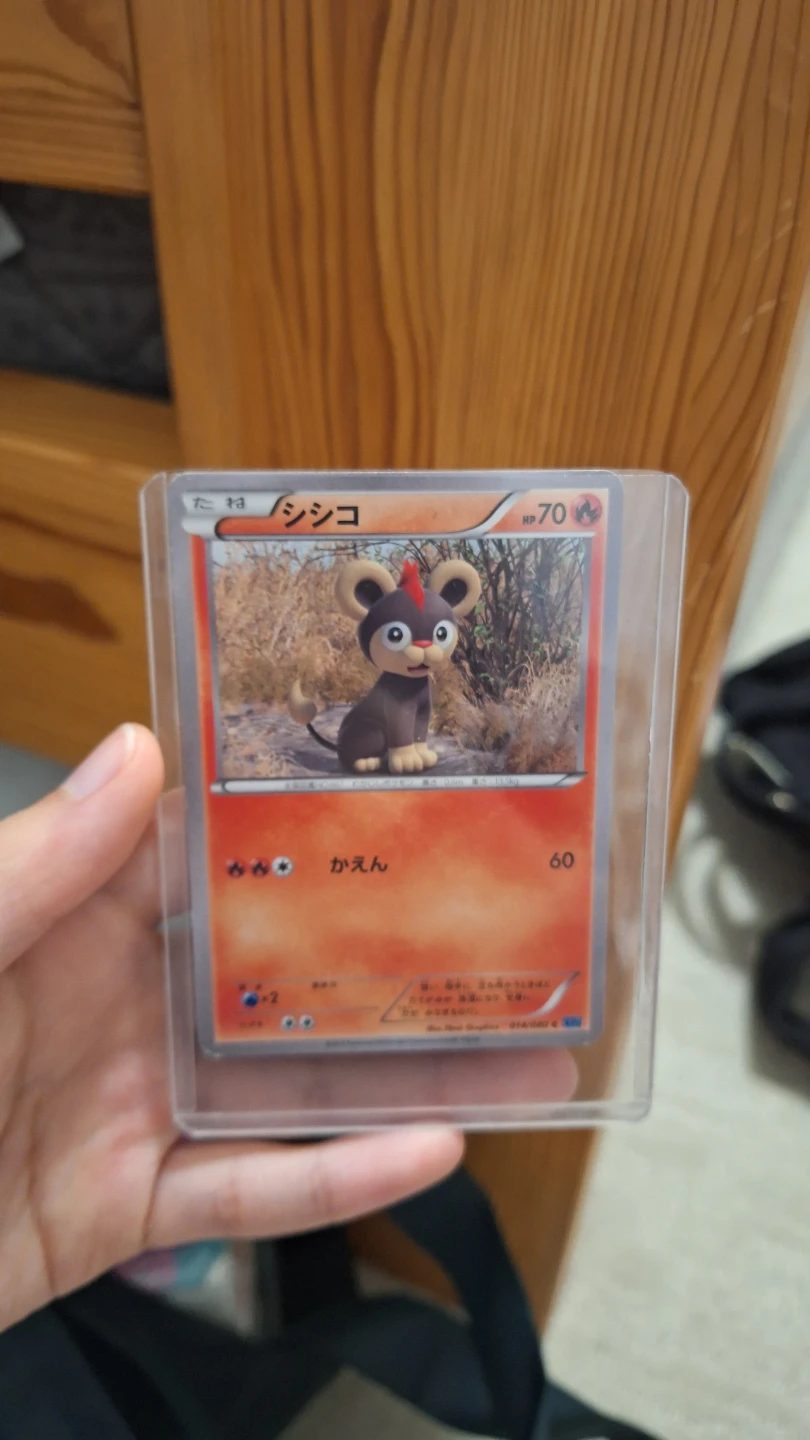 Pokemon Trading Card Lot