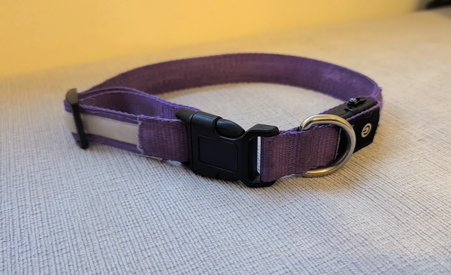 Purple LED Dog Collar (Size Large)