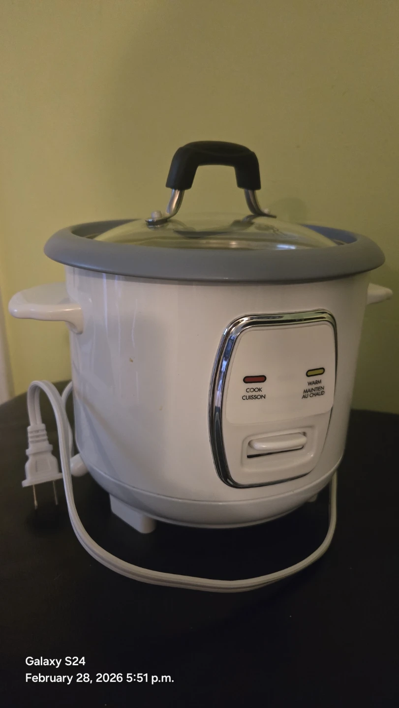 White Mini Rice Cooker