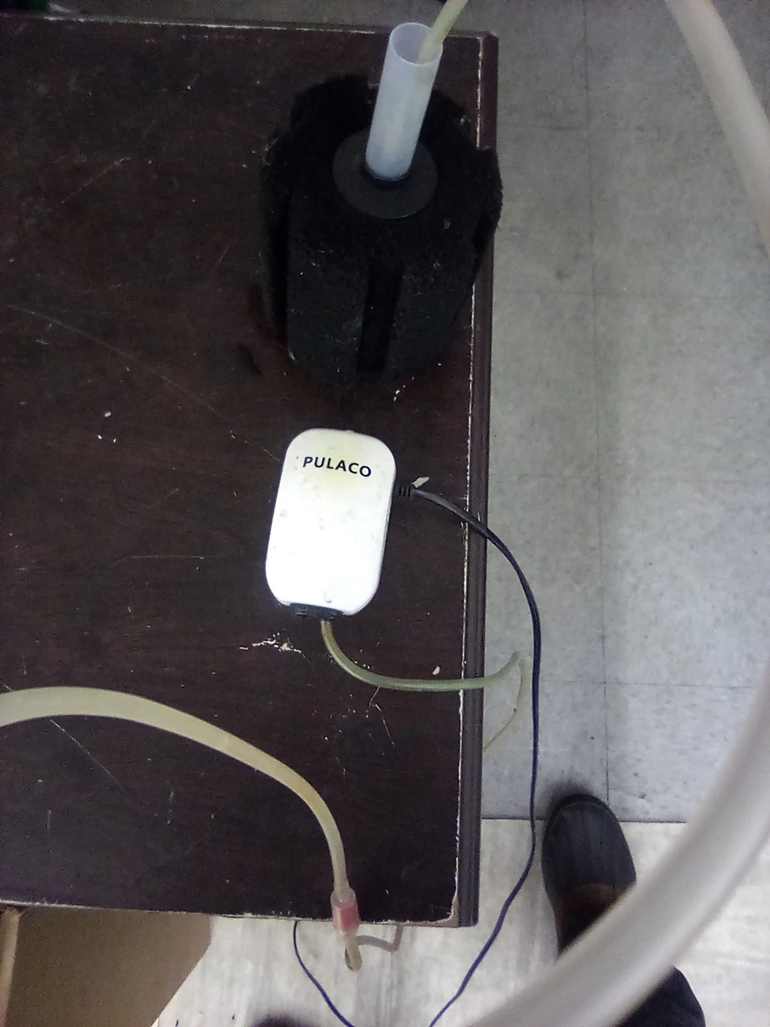 PULACO Aquarium Air Pump and Sponge Filter