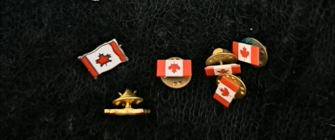 Lot of 6 Canadian Flag Pins - photo 2