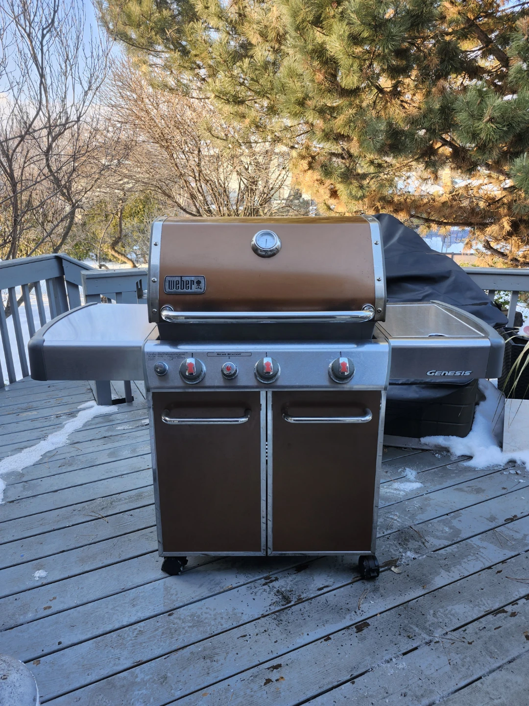 Weber Genesis Natural Gas Grill with rotisserie