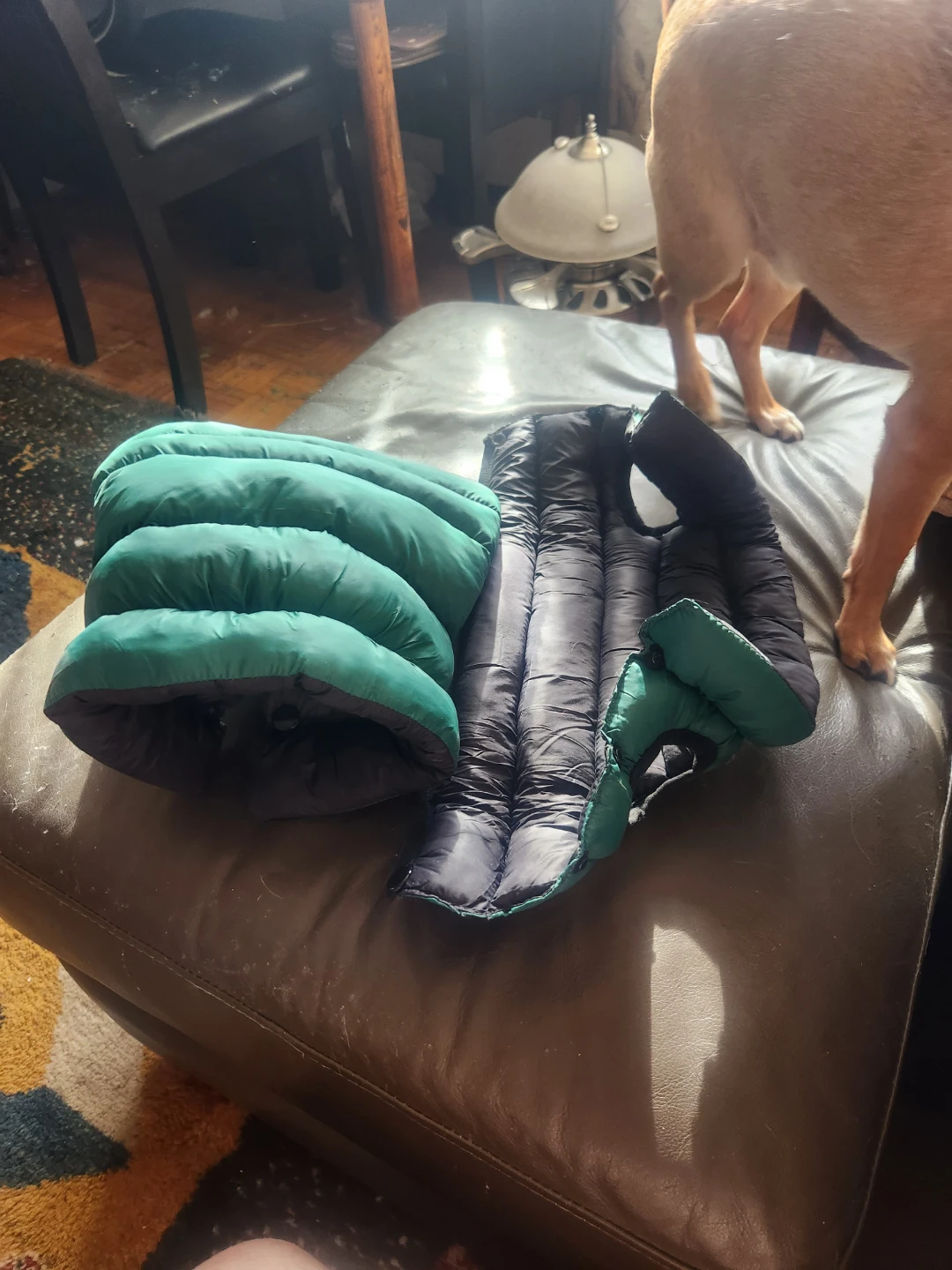 2 med size dog vests - photo 2