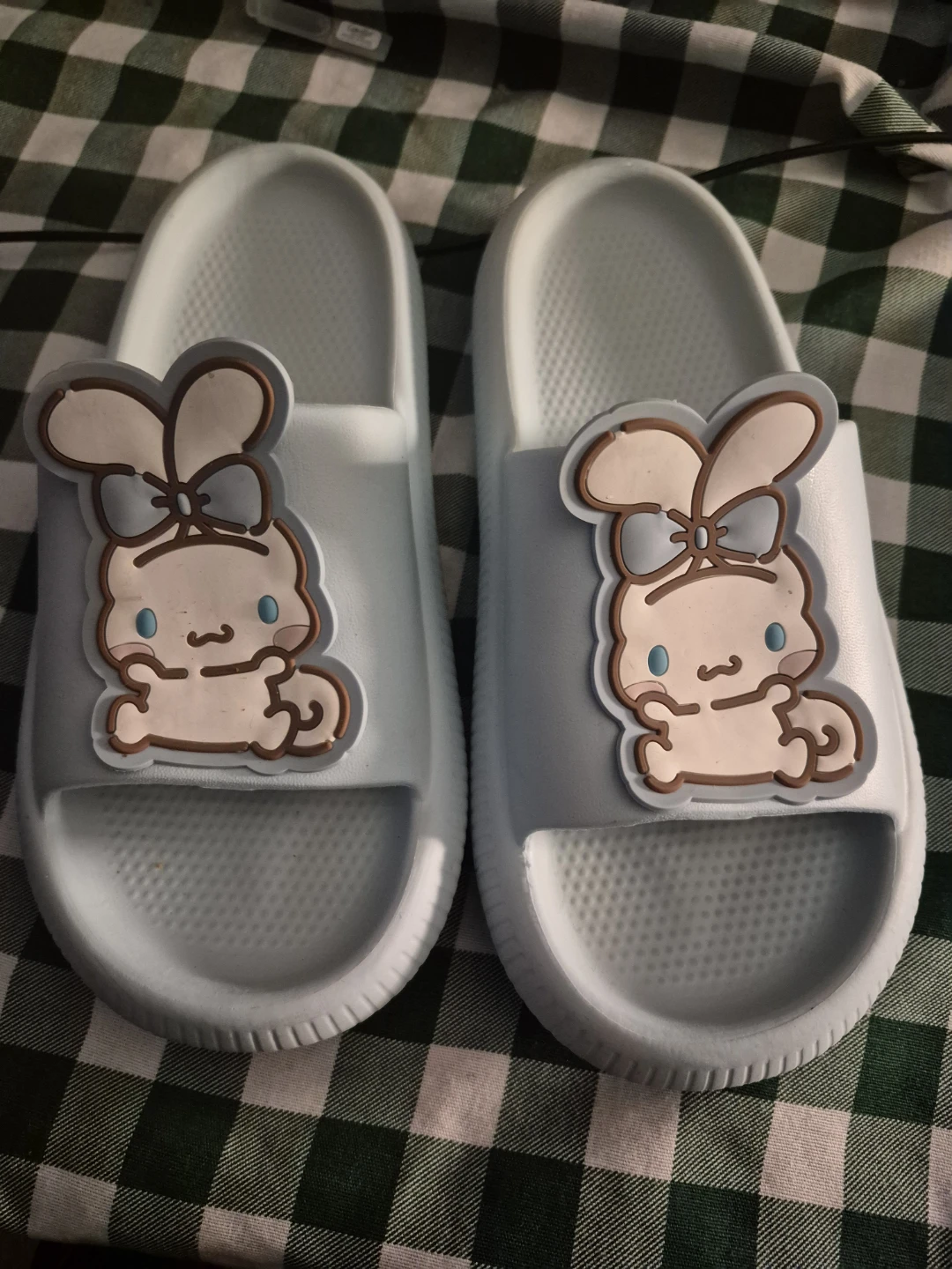 Light Blue Bunny Slides