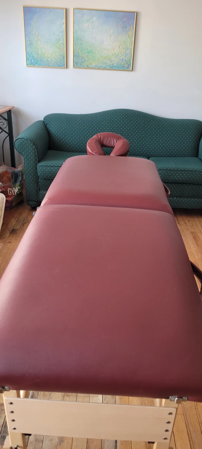 Maroon Portable Massage Table - photo 3