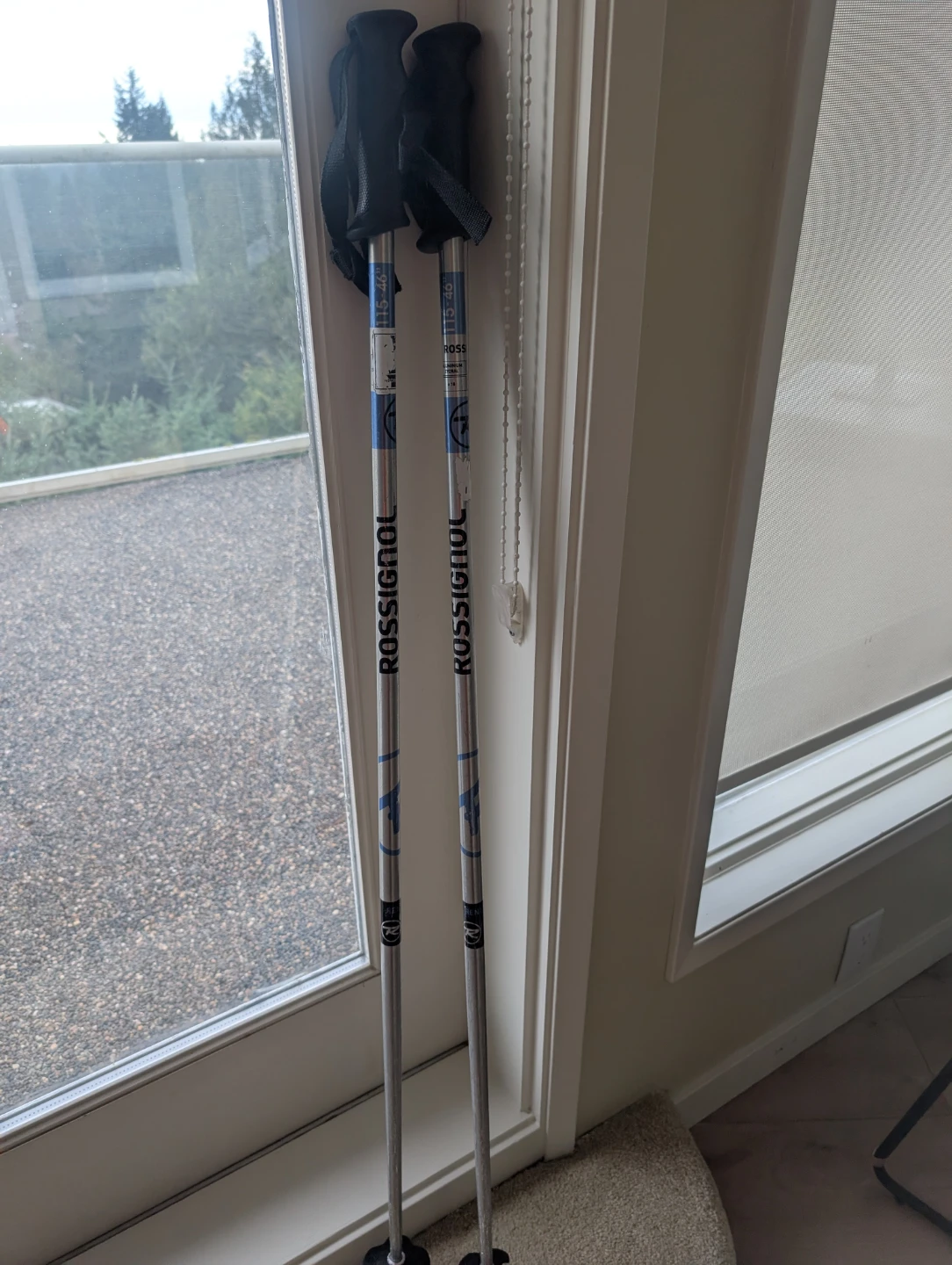 Rossignol Ski Poles 115cm 🥕