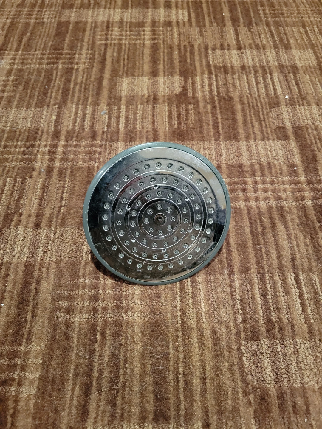 Chrome Shower Head