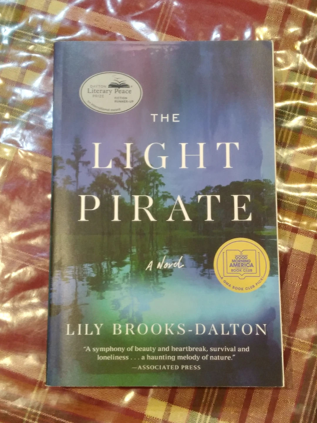 The Light Pirate: A Novel by Lily Brooks-Dalton