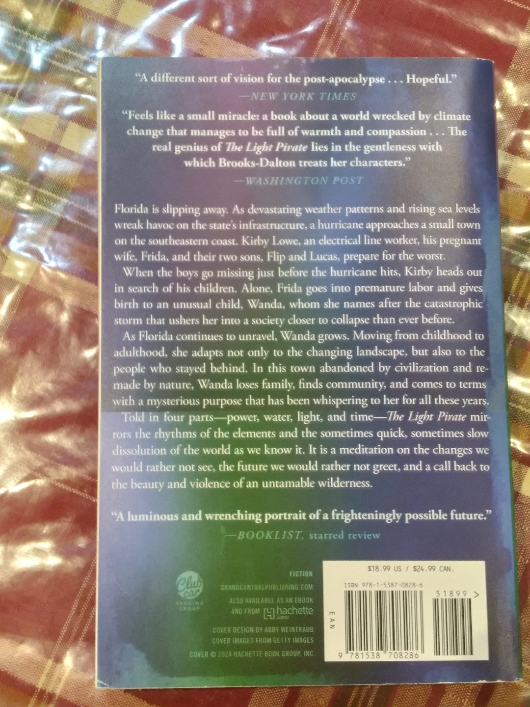 The Light Pirate: A Novel by Lily Brooks-Dalton - photo 2