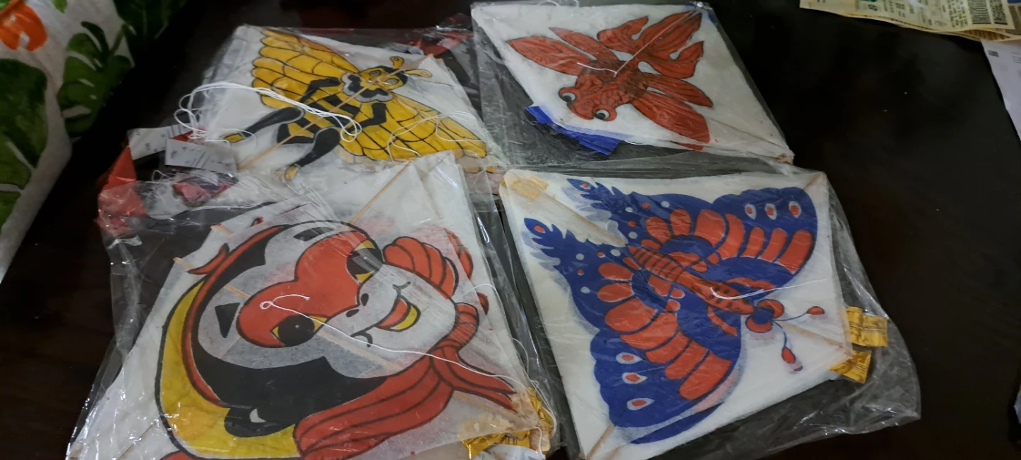 New Kites - Bird, Butterfly, Dragon Designs - photo 2