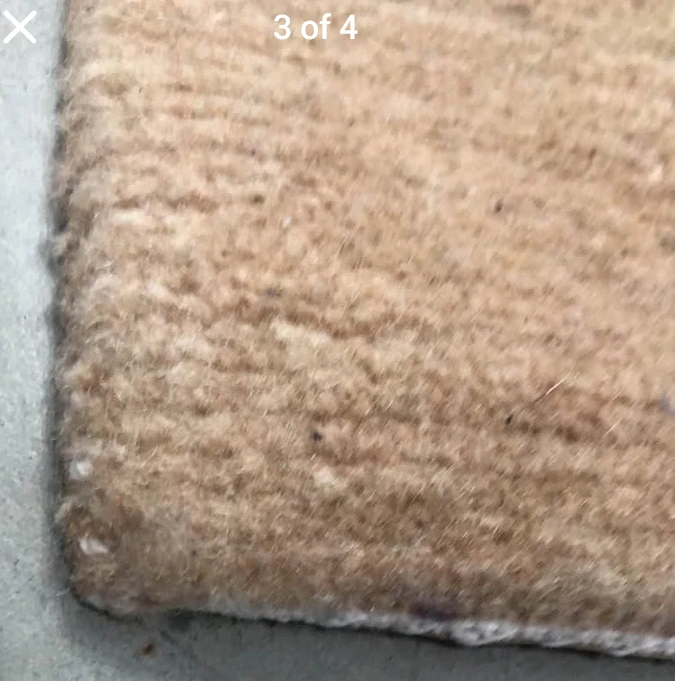 ODEGARD Area Rug - photo 3