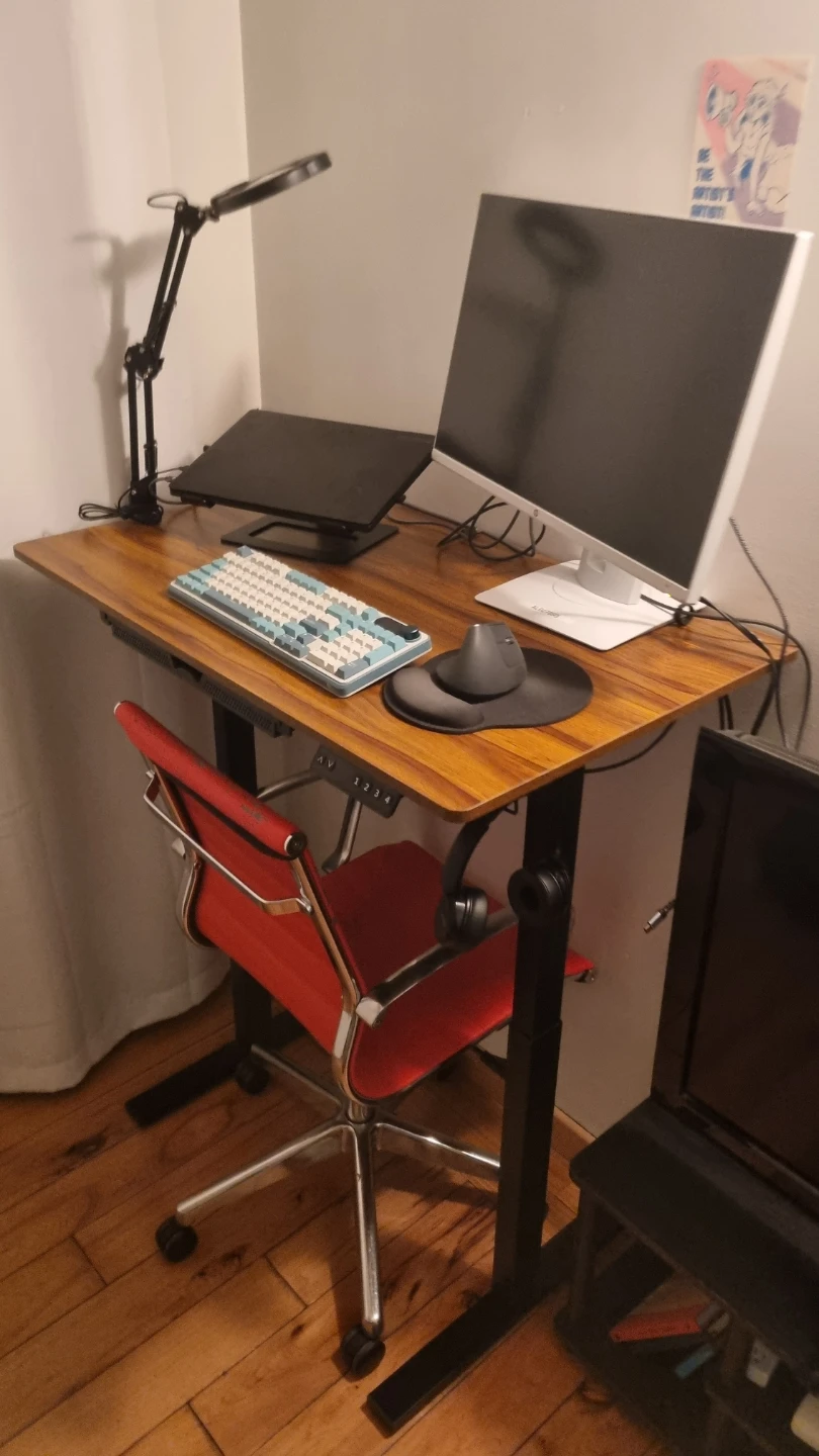 Standing Desk - Walnut Finish 100x60cm