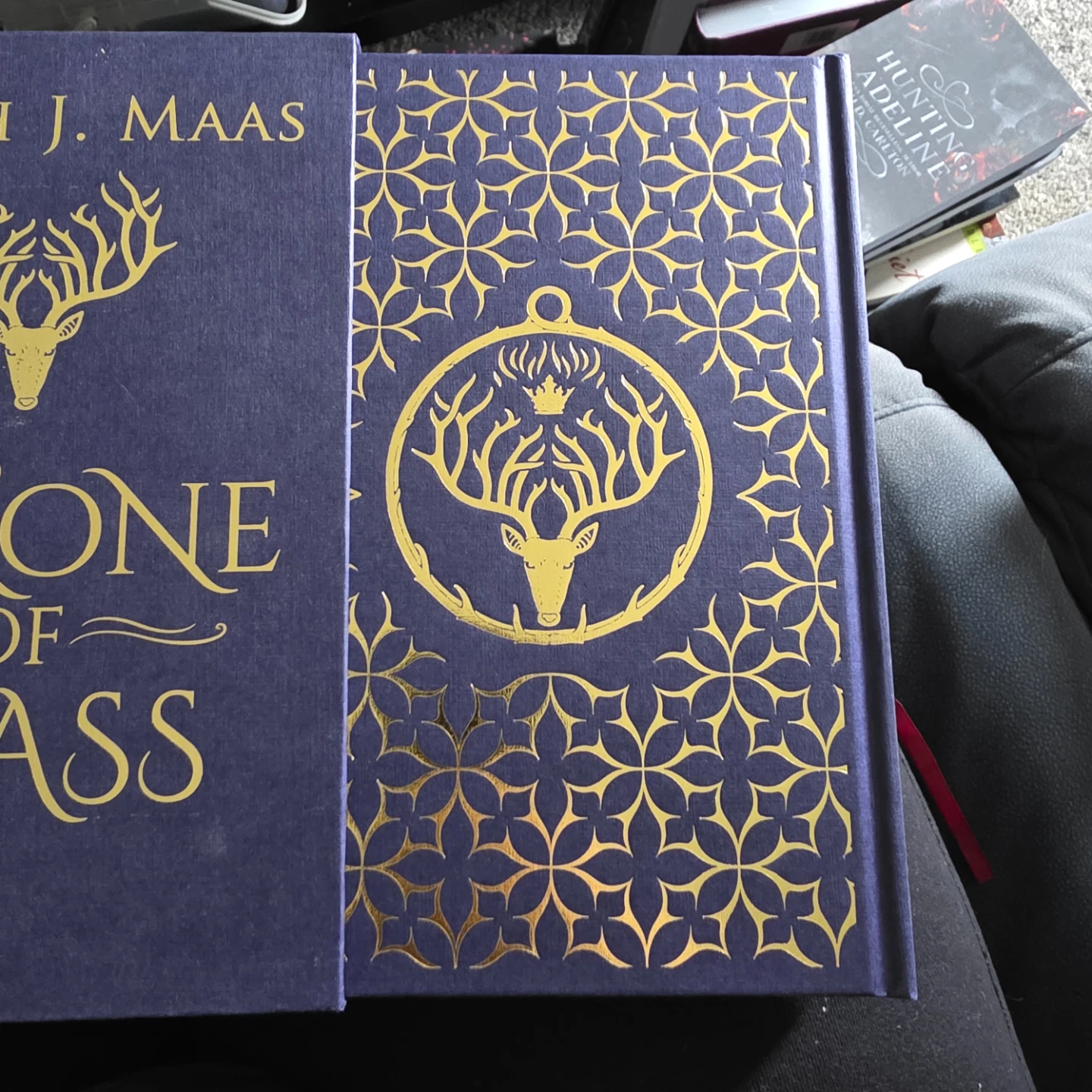 Sarah J. Maas Throne of Glass Book - photo 2