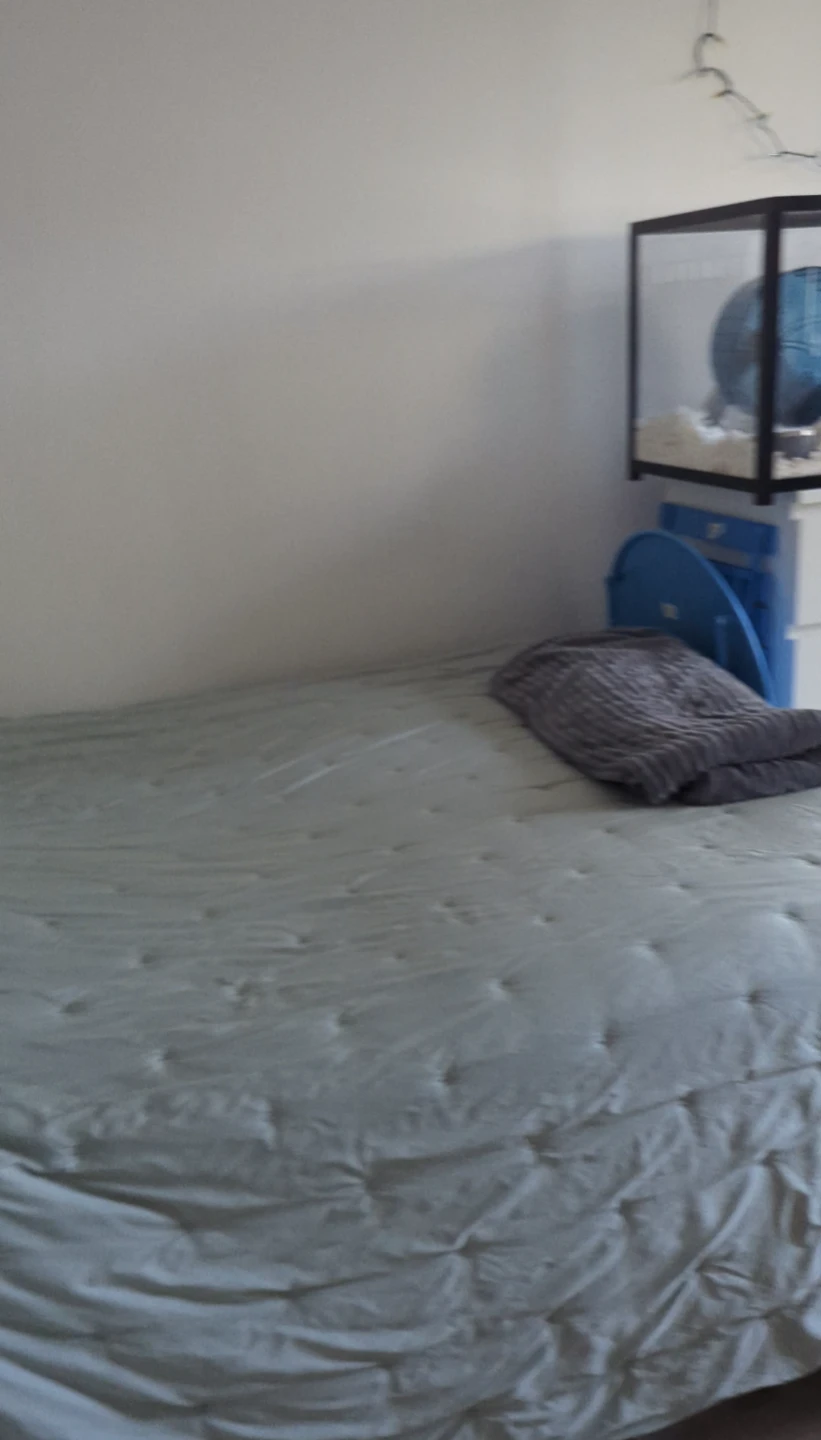 Mattress + Bed - Pick Up Next Week ASAP - photo 2