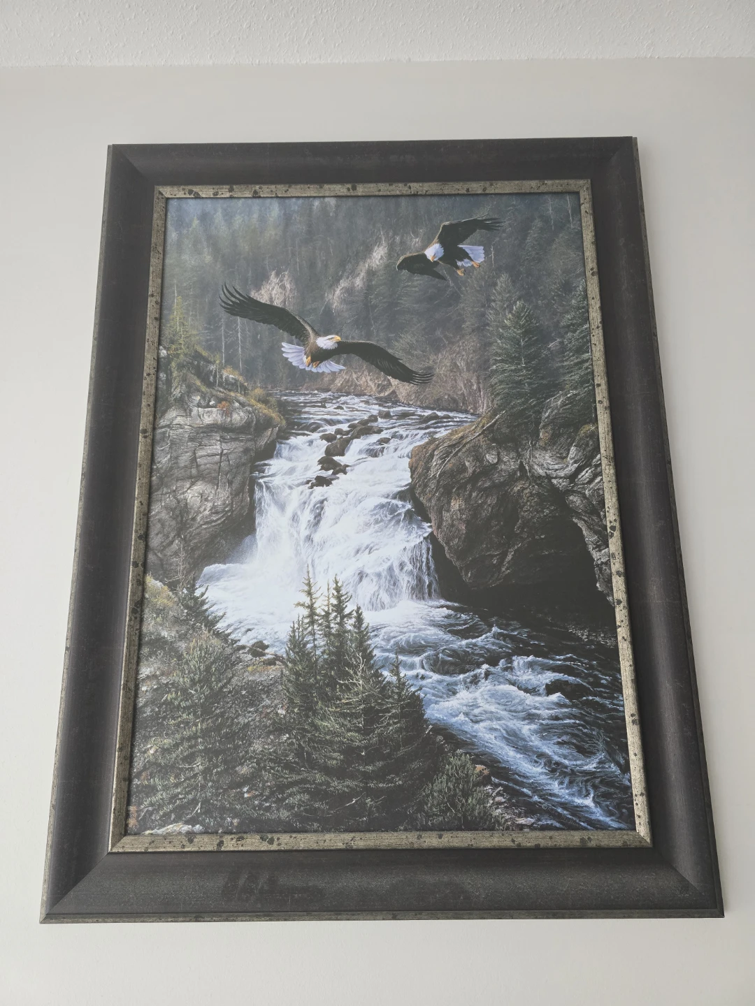 Framed Waterfall and Eagle Art Print