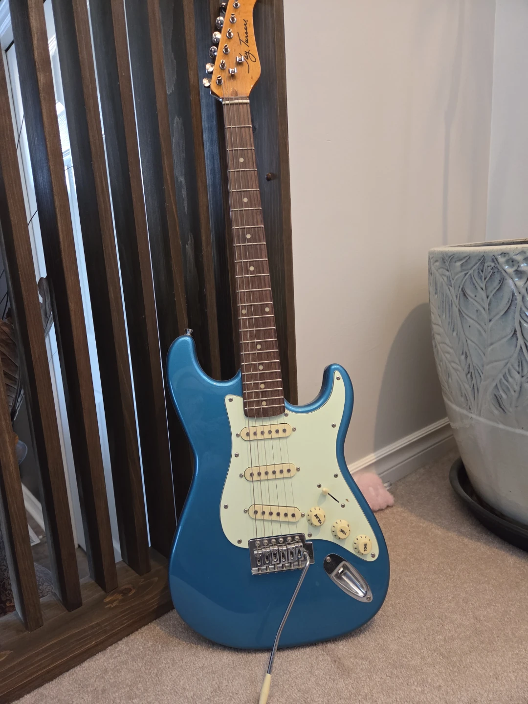 Jay turser 300 Series guitar - photo 2