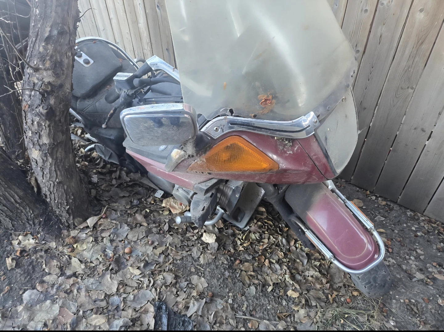1984? Yamaha Venture Royale - photo 2