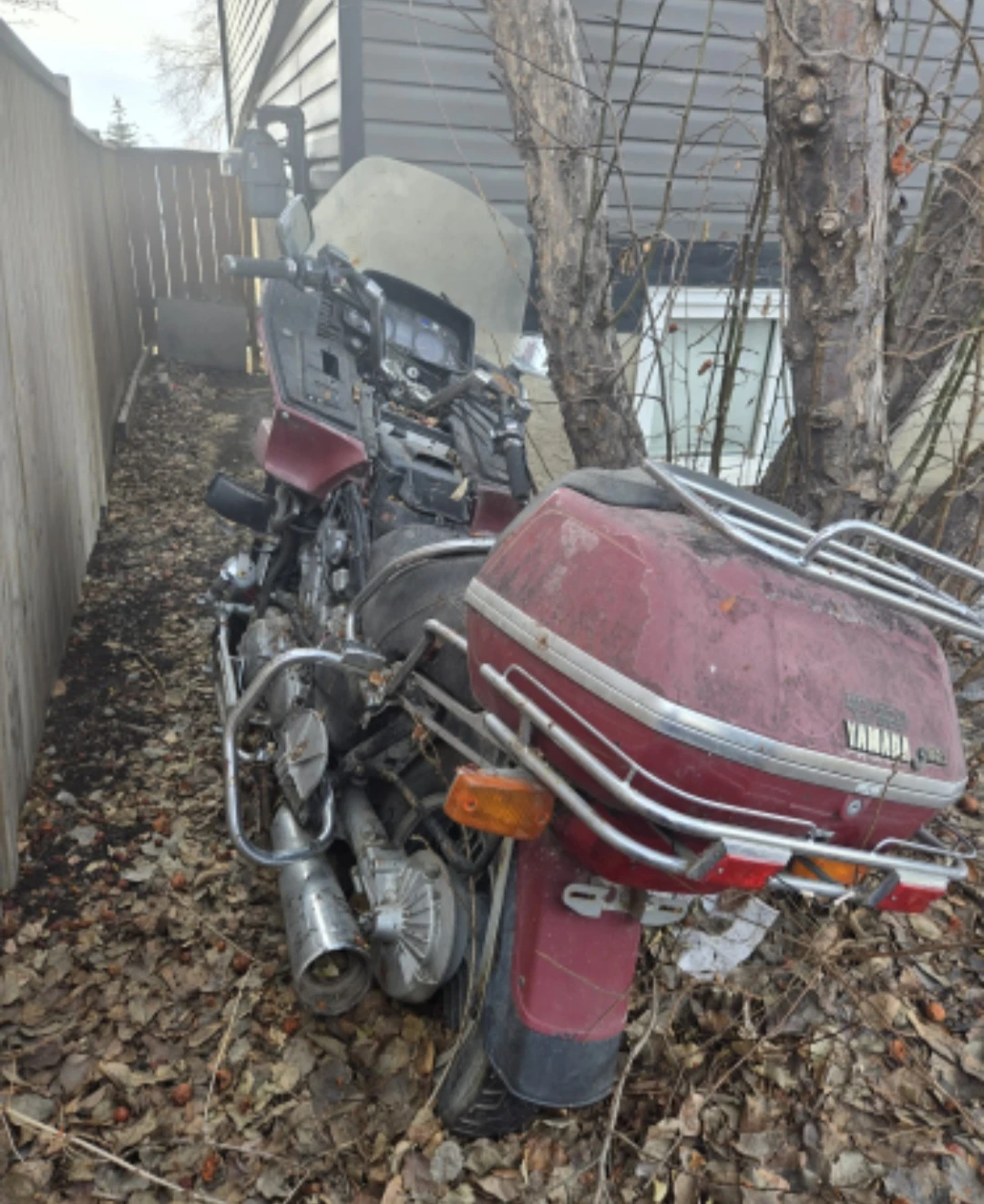 1984? Yamaha Venture Royale - photo 3