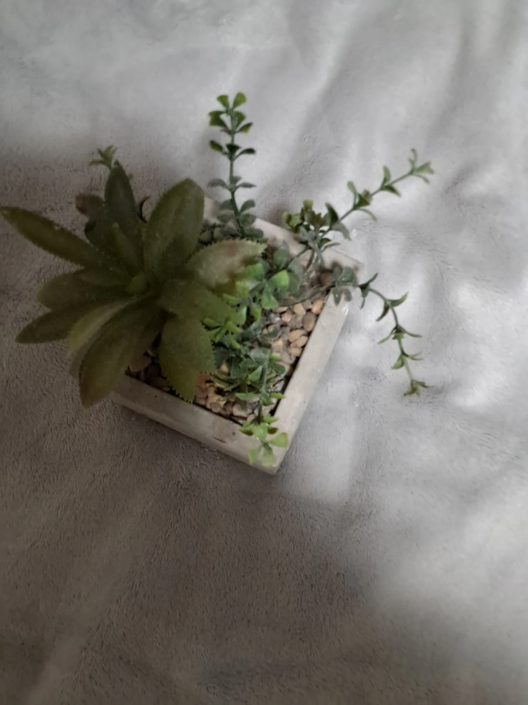 Decoration - photo 3
