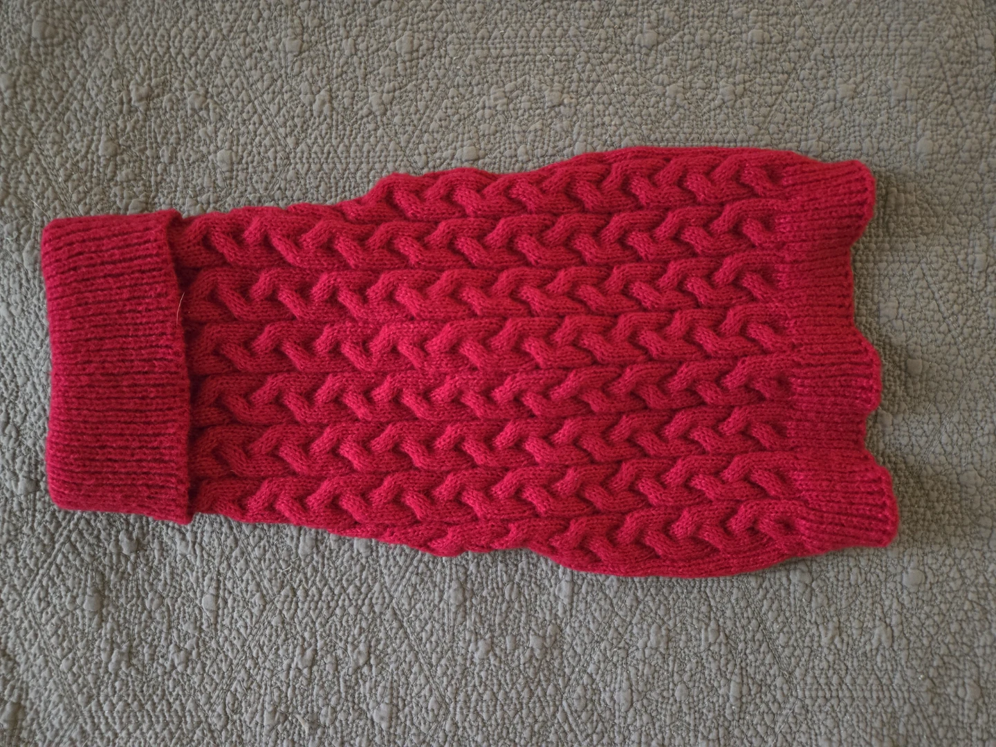 Dog sweater!