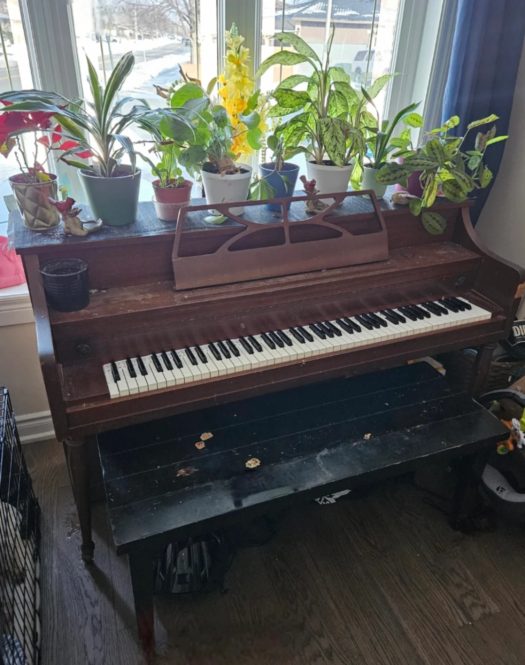 Free Piano
