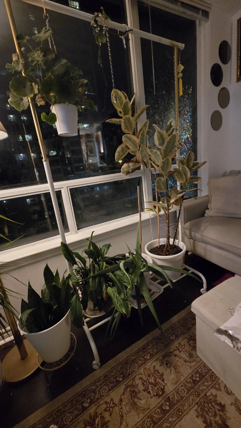 IKEA Clothes Rack or plant hanging with wheels - photo 2