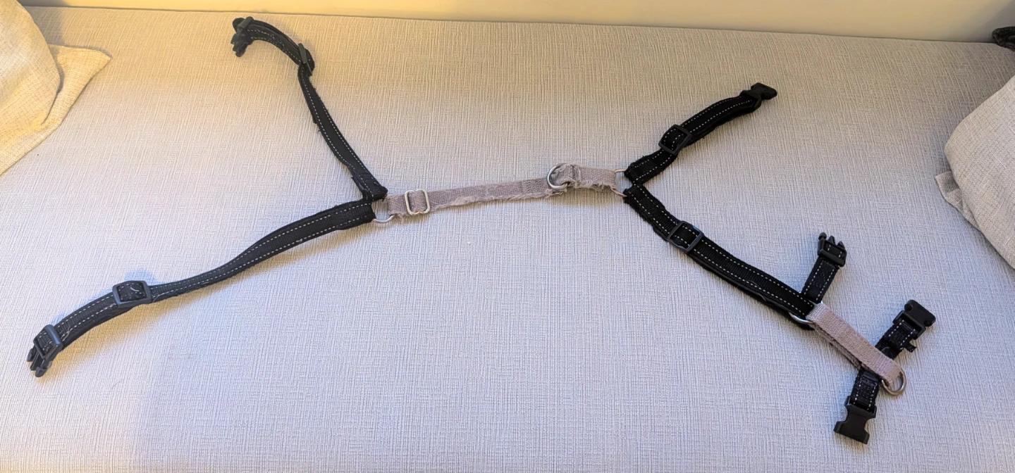 PetSafe 3 in 1 Dog Harness (Medium) - photo 3