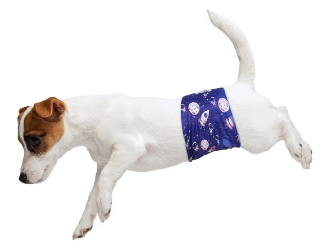 Dog Diaper - XXL Space Print