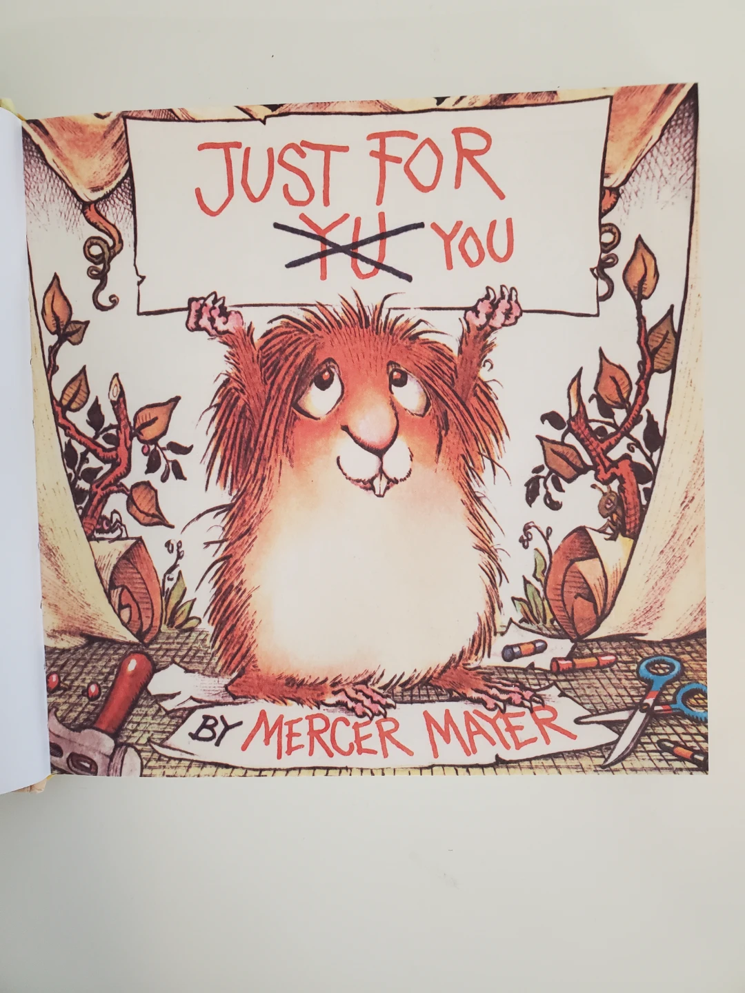 Just a Little Critter Collection by Mercer Mayer...30 years. - photo 3