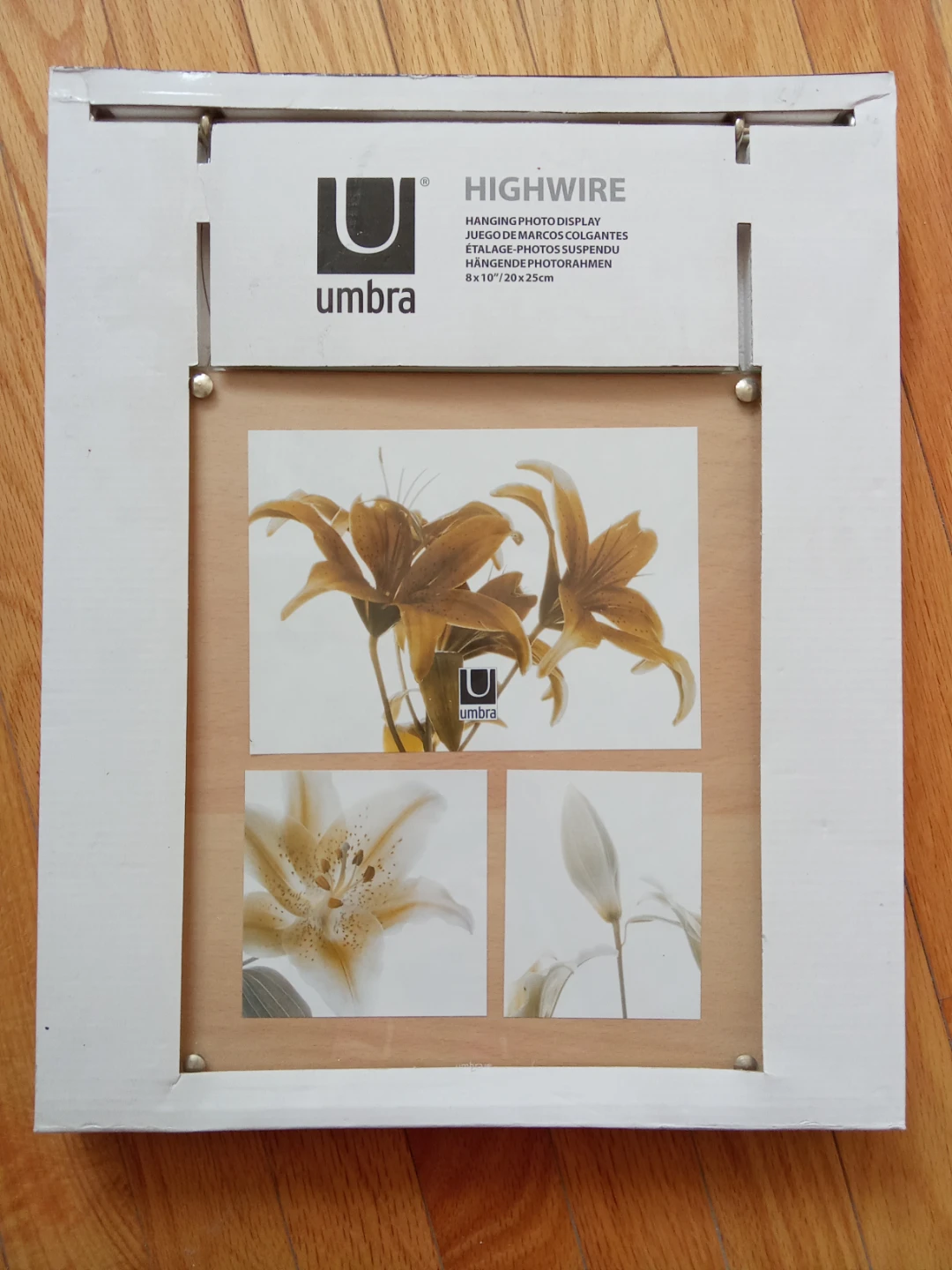 NEW Umbra Highwire Hanging Photo Display - 8x10"/20x25cm 🏆