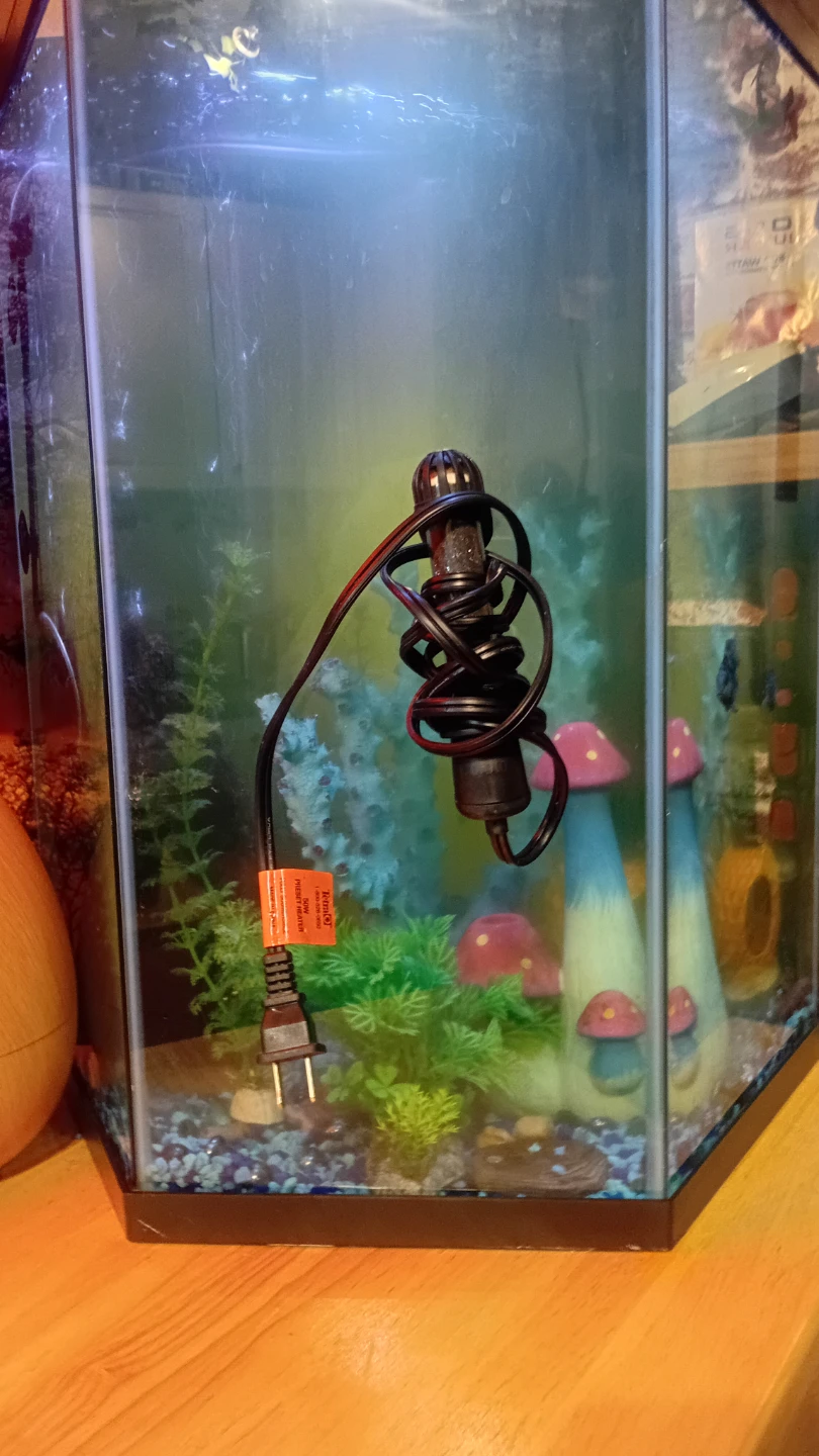 ❗️🐠🐟Aquarium/Fish Tank Supplies Bundle 🐟🐠❗️