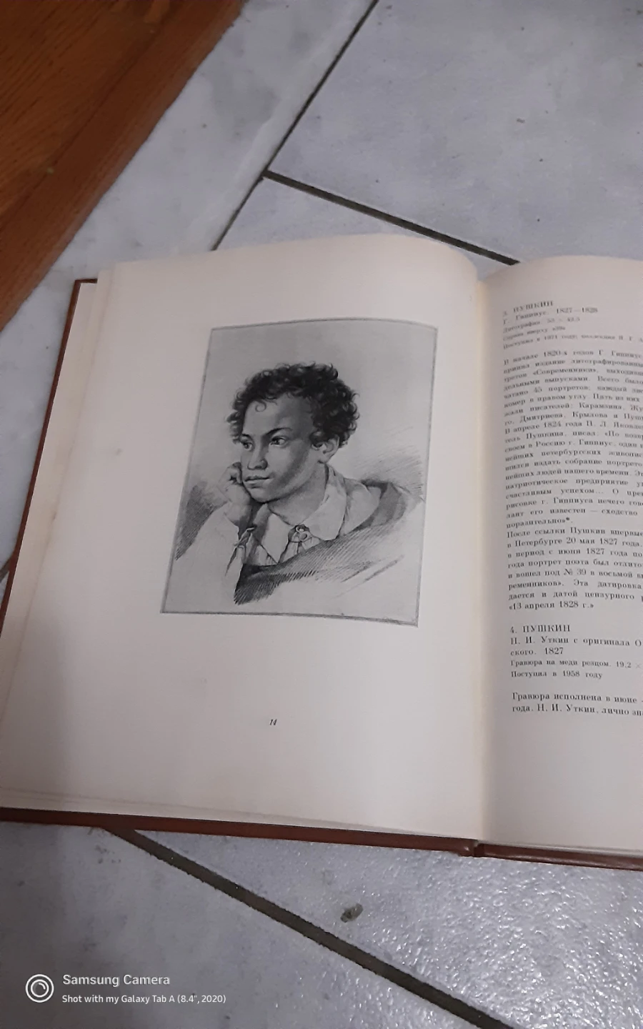 Portraits of Pushkin Book - photo 4