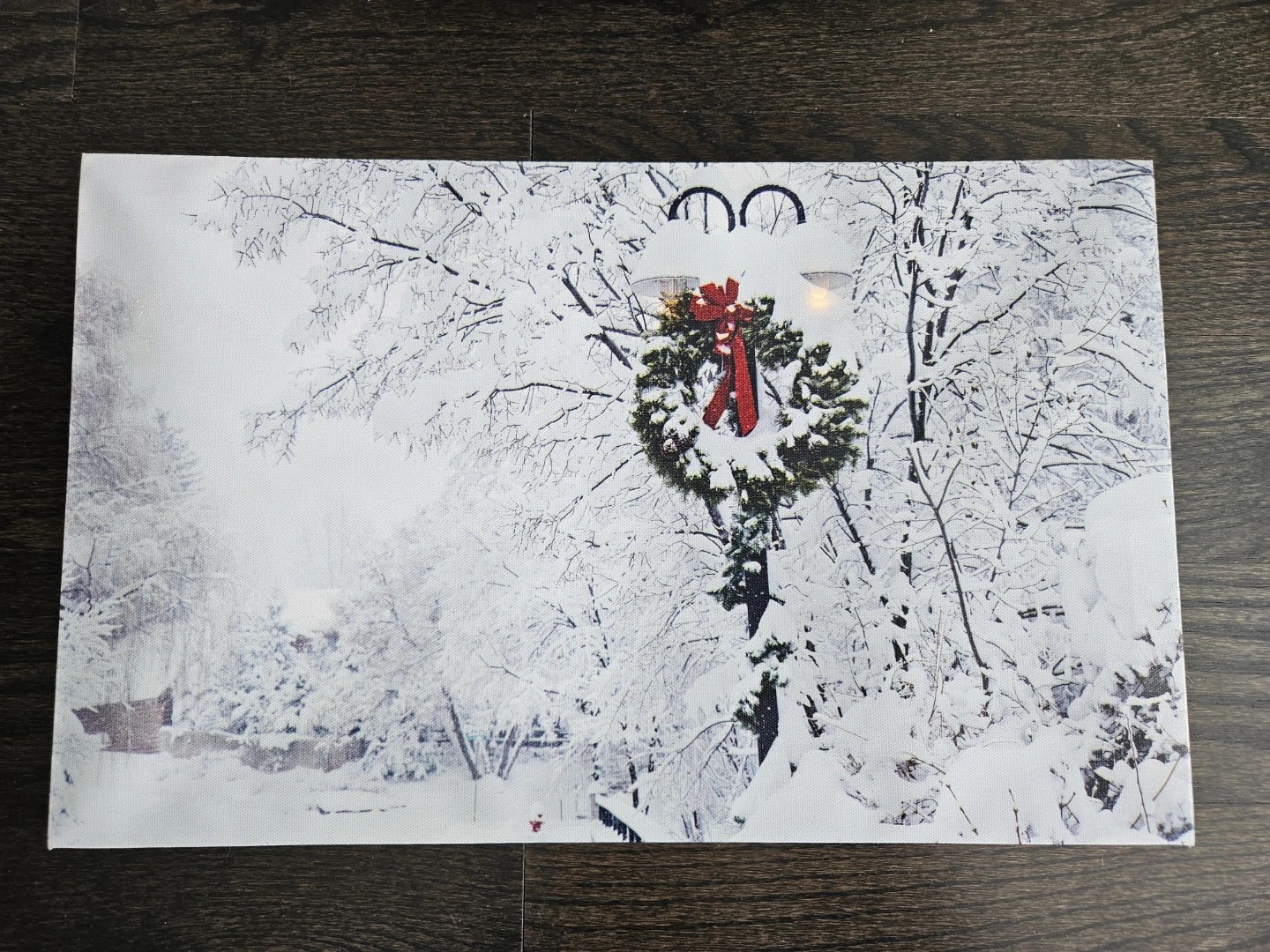Winter Theme Print with Lighting Feature - photo 2