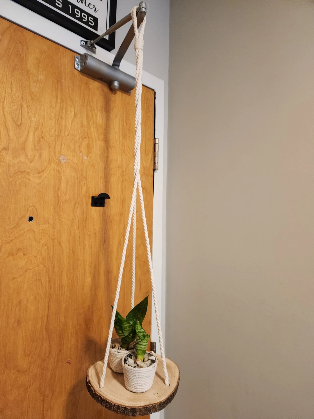 Beachy hanging tree slice planter with plants - photo 2
