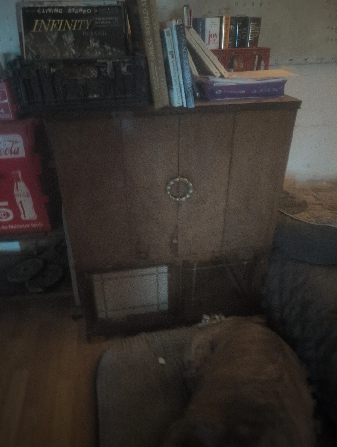 Vintage Wooden Cabinet with Record Storage