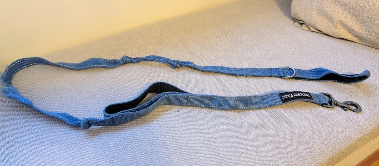K9 Explorer Blue Dog Leash (6 Feet)