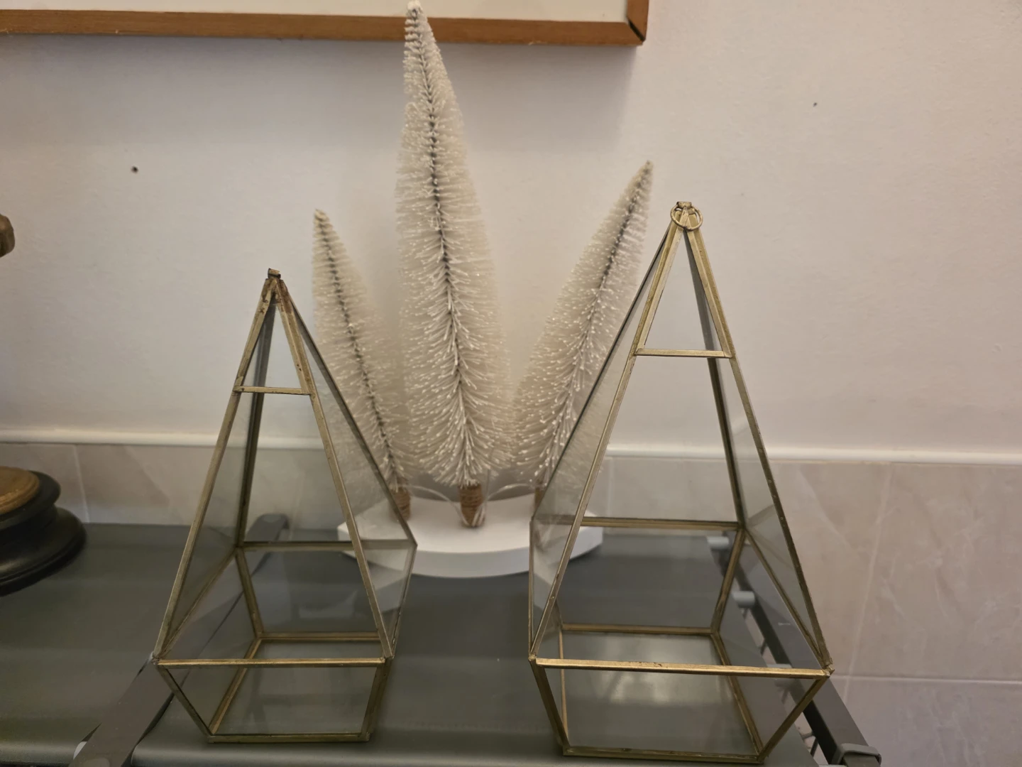 Geometric Terrarium Display Case