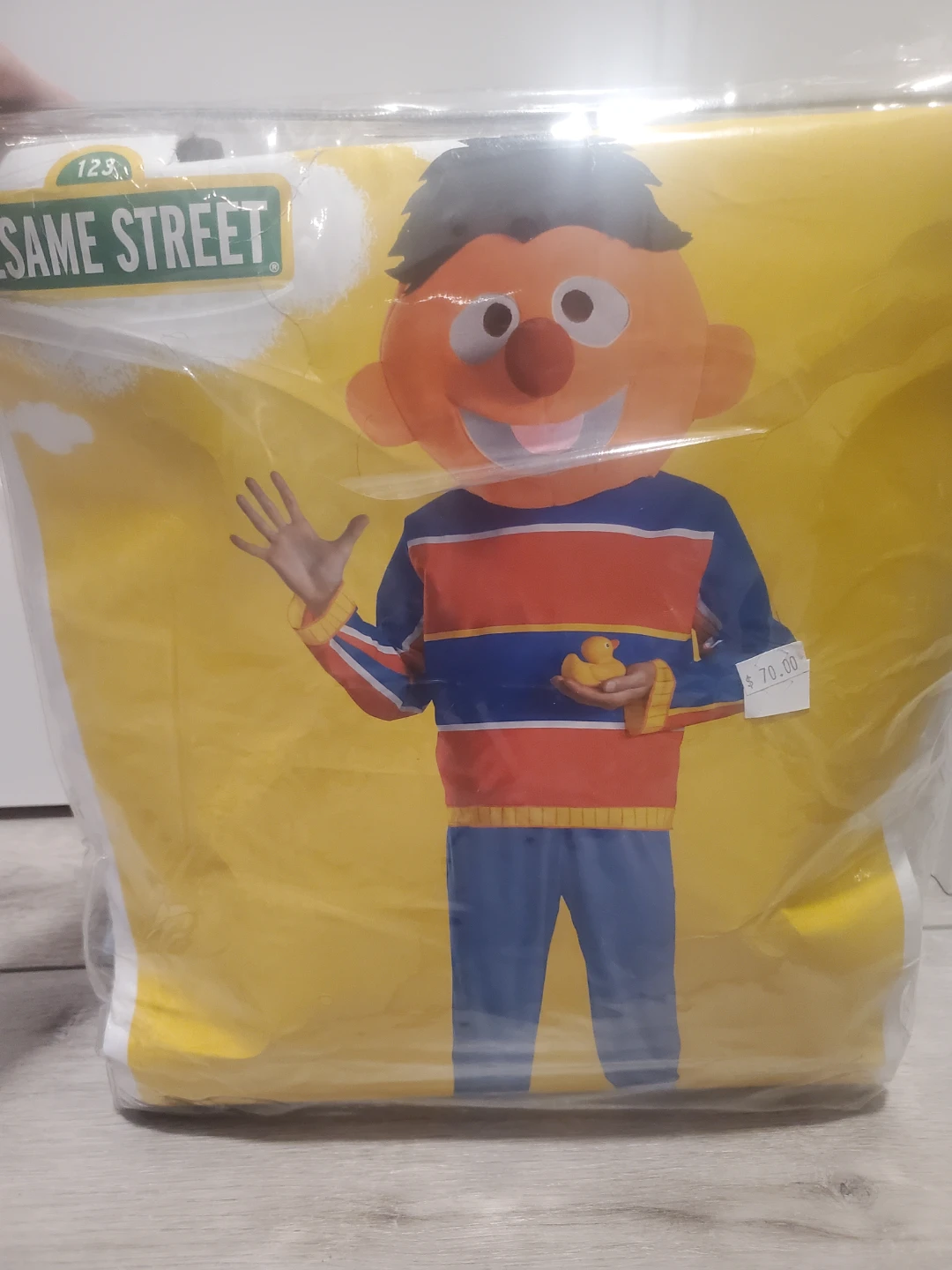 Sesame Street Ernie Costume