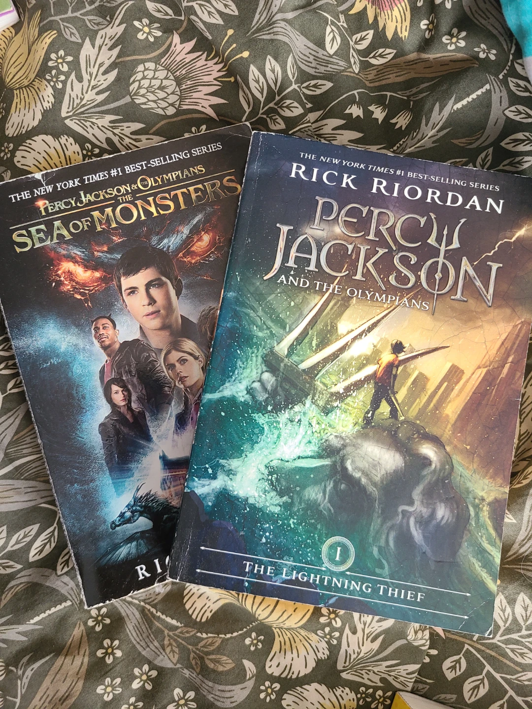 Collection of Young Adult Books 🥕 - photo 3