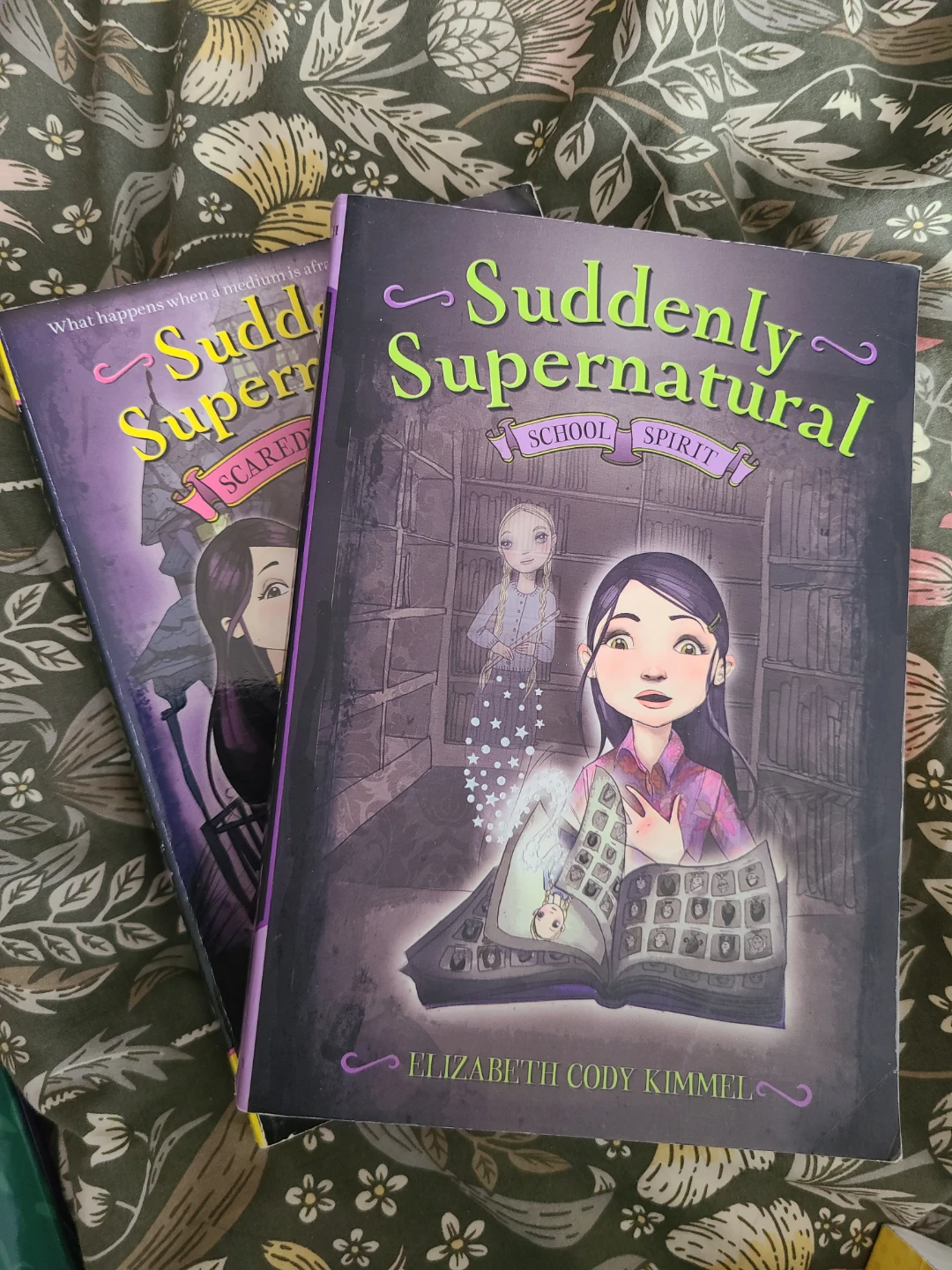 Collection of Young Adult Books 🥕 - photo 5