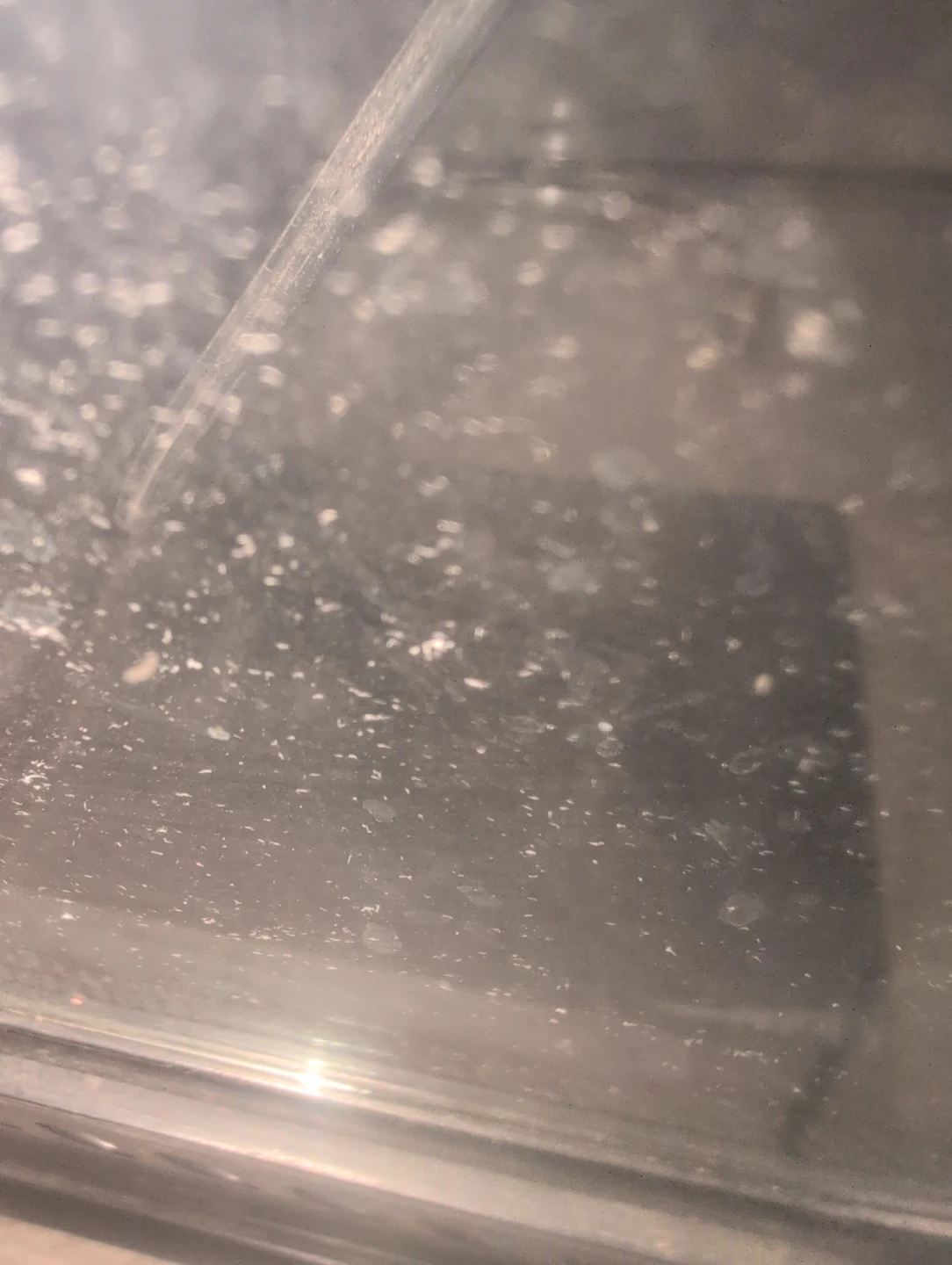 Exo Terra Terrarium - photo 2