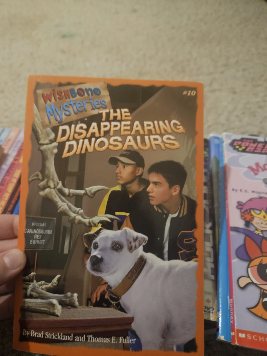 more all kind of books - photo 3