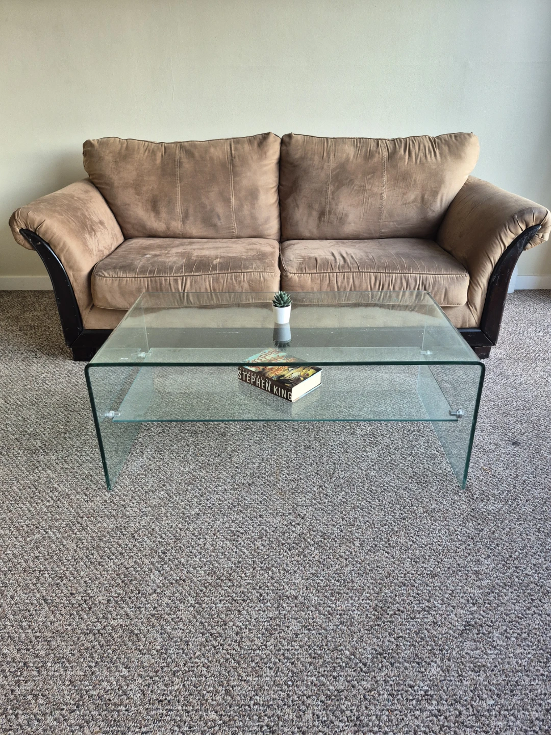 Modern Curved Glass Coffee Table with Lower Shelf
