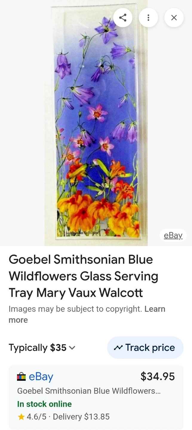 Goebel Smithsonian Blue Wildflowers Serving Tray - photo 4