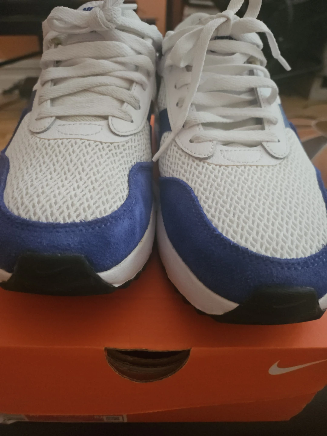 Nike Air Max Running Shoes