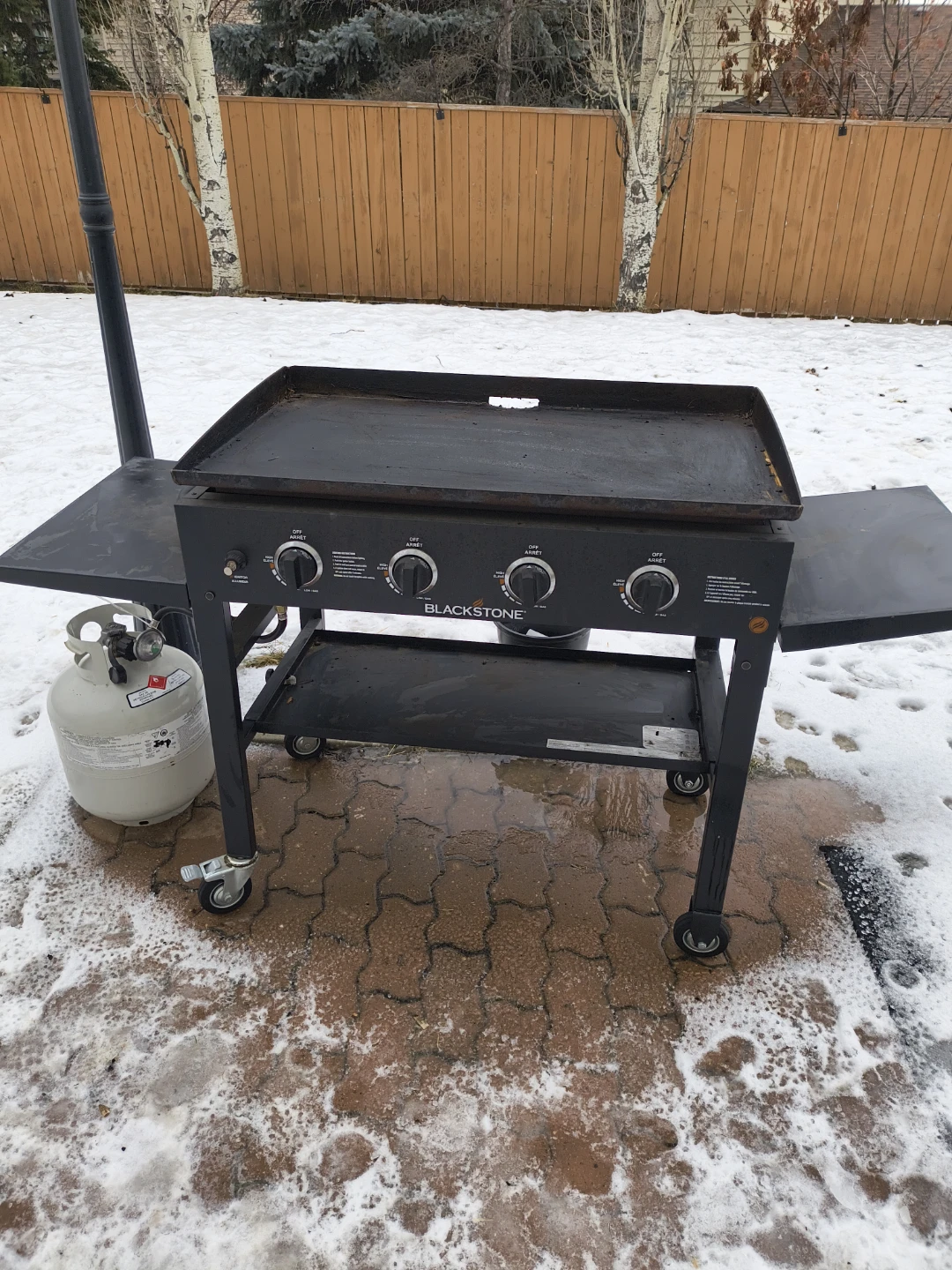Blackstone Griddle with Propane Tank