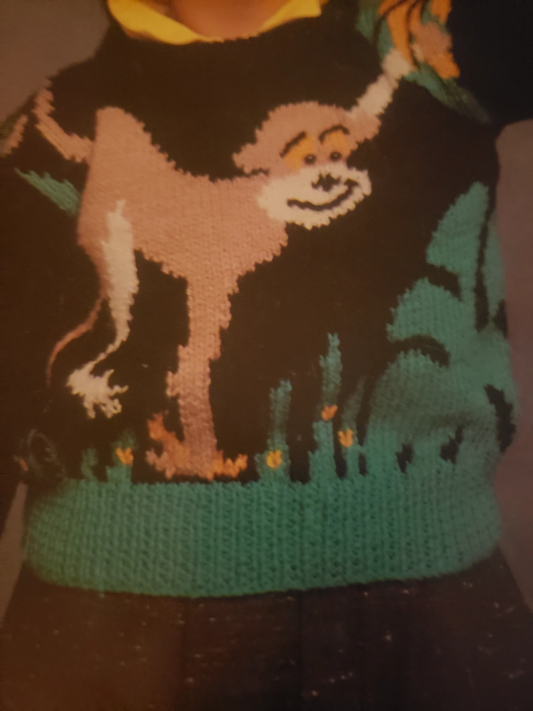 Monkey sweater