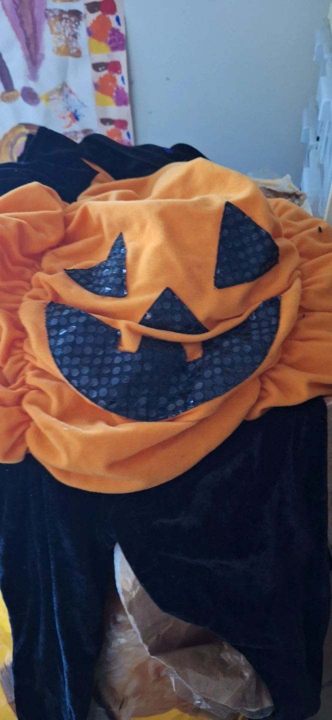 Halloween Costume Bundle - photo 3