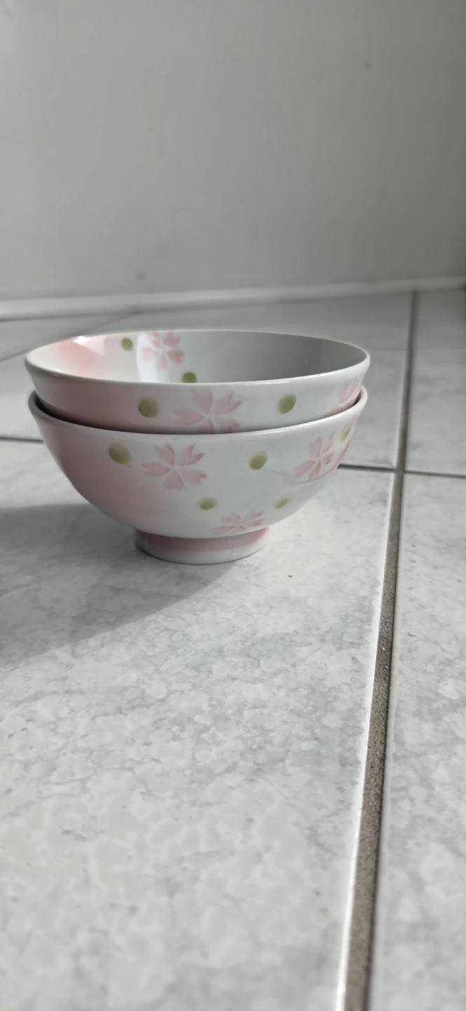 Set of 2 Ceramic Bowls with Cherry Blossom Design