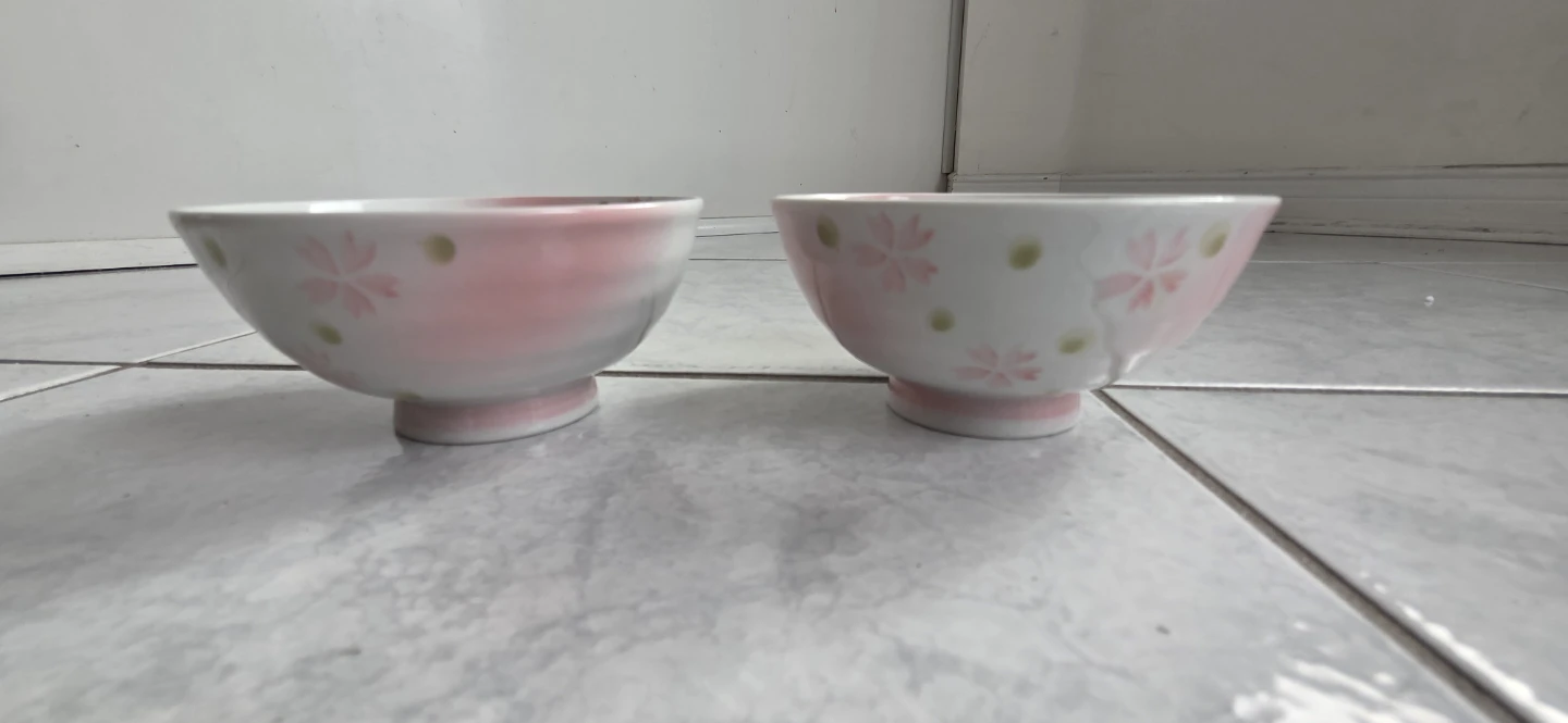 Set of 2 Ceramic Bowls with Cherry Blossom Design - photo 4